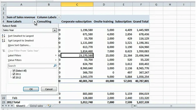 Filtering in a PivotTable