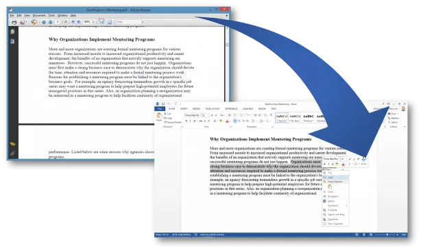 Pdf to Word