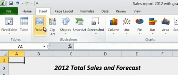 Add images to a report in Microsoft Excel 2010