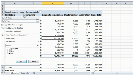 Sharper skills using Microsoft Excel for business