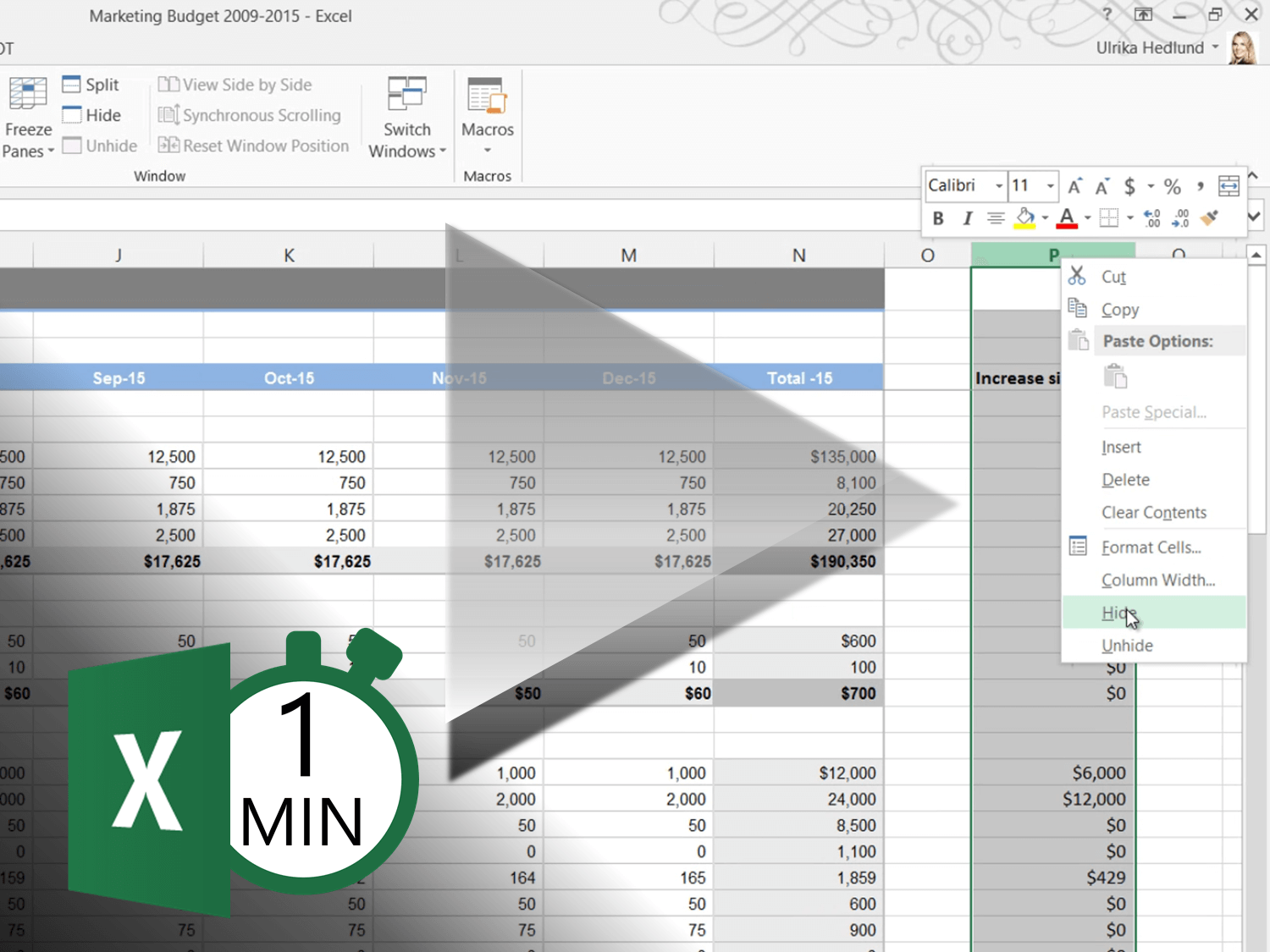 how to add multiple rows in excel 2013
